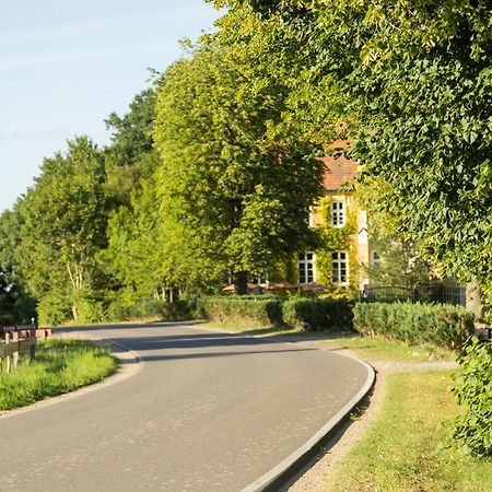 Neu Gaarz Naturnahes, Neu Moebl.Apartment, Hundefreundlich מראה חיצוני תמונה