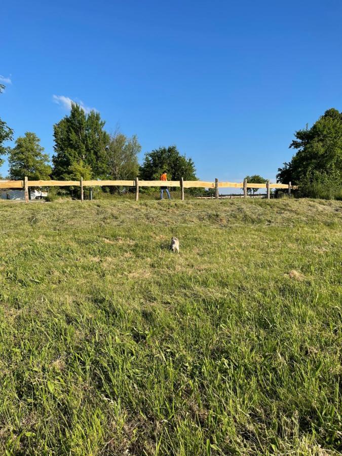 Neu Gaarz Naturnahes, Neu Moebl.Apartment, Hundefreundlich מראה חיצוני תמונה